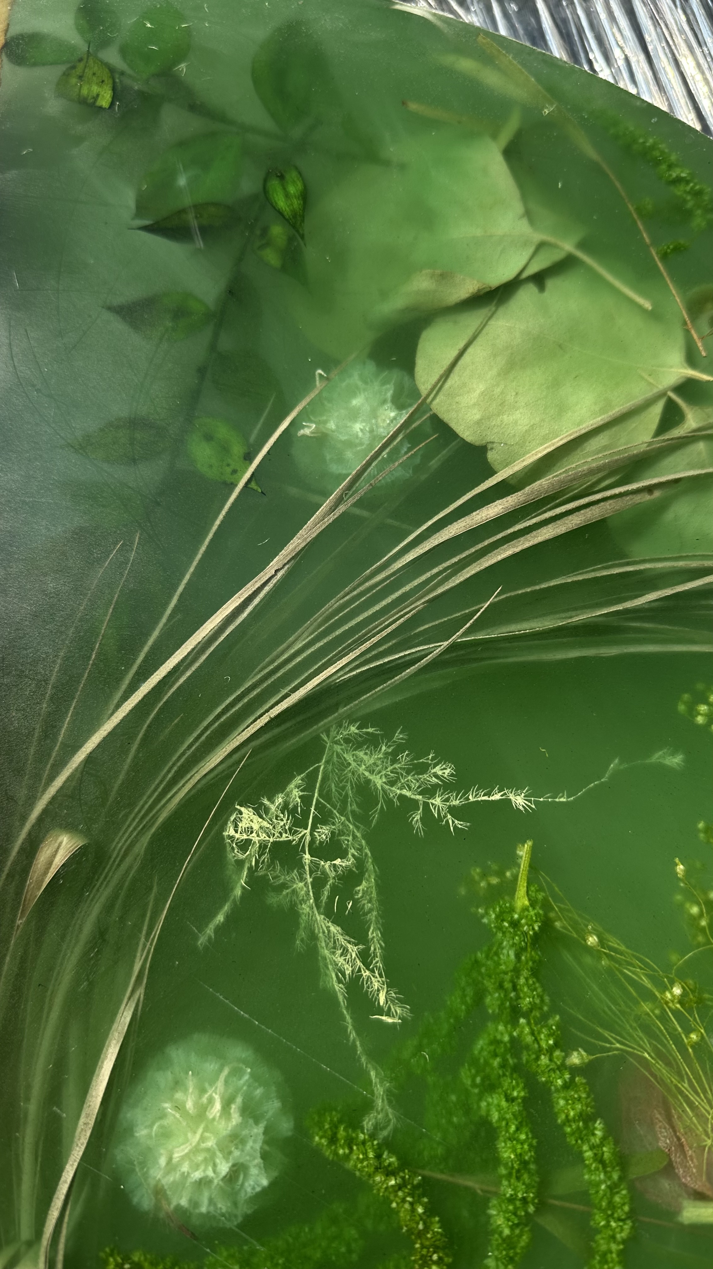 Ako kombinovať epoxid a prírodné materiály