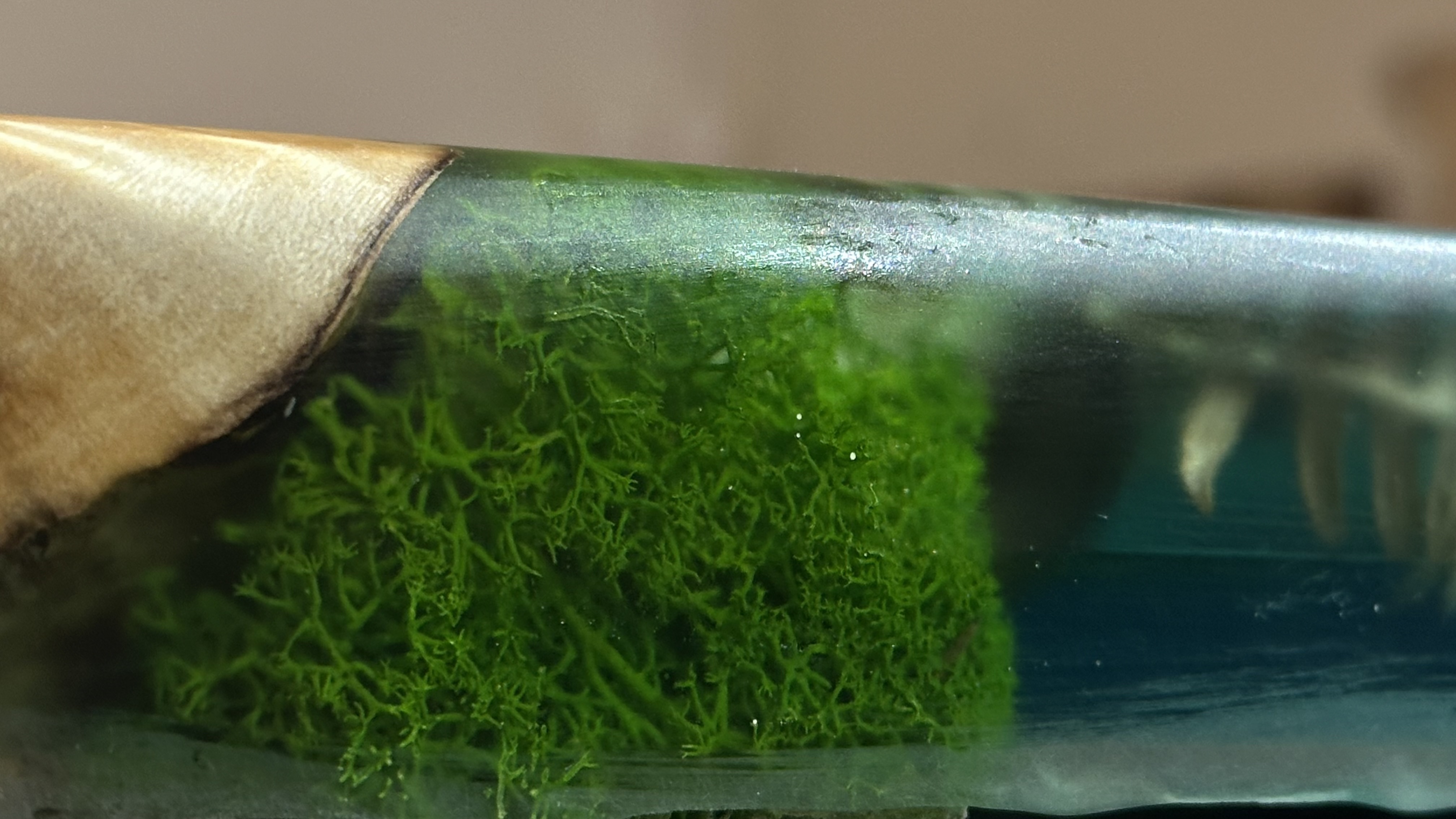 Ako kombinovať epoxid a prírodné materiály - 2